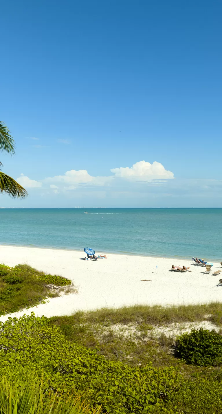 Sundial Beach Drone Aerial Palm Trees Water Walkway