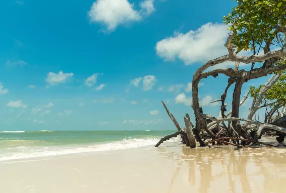 Little Hickory Island Park